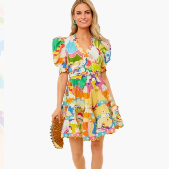 Tuckernuck Dresses & Skirts - Andromeda Dress
CELIAB